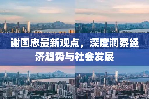 謝國忠最新觀點，深度洞察經(jīng)濟趨勢與社會發(fā)展