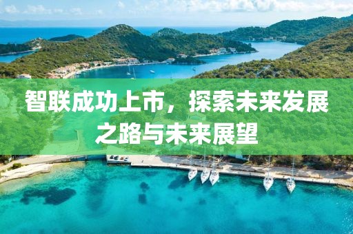 智聯(lián)成功上市，探索未來發(fā)展之路與未來展望