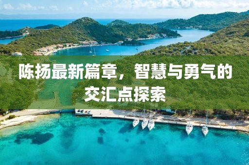 陳揚最新篇章，智慧與勇氣的交匯點探索