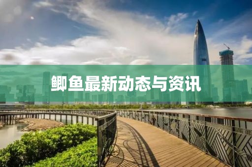 鯽魚最新動態(tài)與資訊
