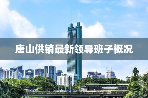 唐山供銷最新領(lǐng)導(dǎo)班子概況