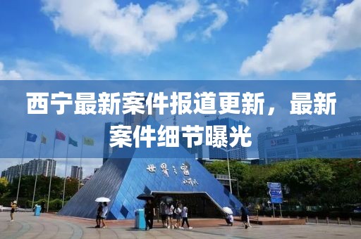 西寧最新案件報道更新，最新案件細(xì)節(jié)曝光
