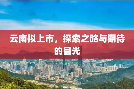 云南擬上市，探索之路與期待的目光