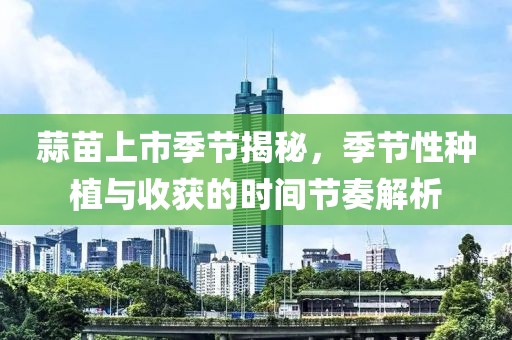 蒜苗上市季節(jié)揭秘，季節(jié)性種植與收獲的時(shí)間節(jié)奏解析