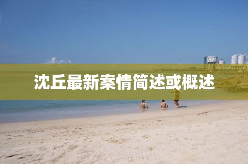 沈丘最新案情簡(jiǎn)述或概述