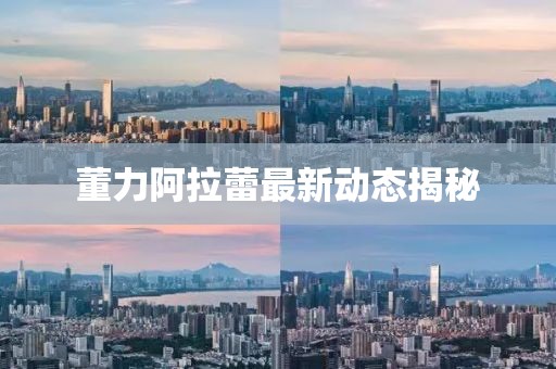 董力阿拉蕾最新動態(tài)揭秘