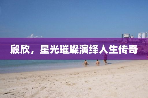 殷欣，星光璀璨演繹人生傳奇