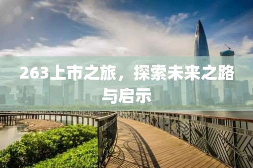 263上市之旅，探索未來(lái)之路與啟示