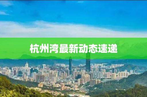 杭州灣最新動(dòng)態(tài)速遞