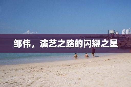 鄒偉，演藝之路的閃耀之星