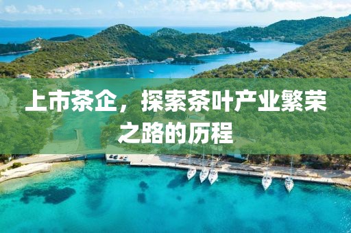 上市茶企，探索茶葉產(chǎn)業(yè)繁榮之路的歷程