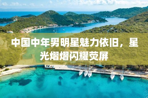 中國(guó)中年男明星魅力依舊，星光熠熠閃耀熒屏