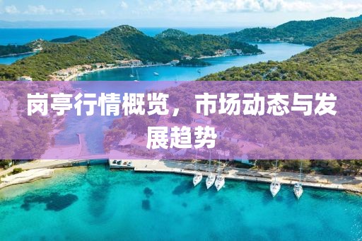 崗?fù)ば星楦庞[，市場(chǎng)動(dòng)態(tài)與發(fā)展趨勢(shì)