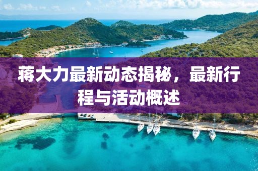 蔣大力最新動態(tài)揭秘，最新行程與活動概述