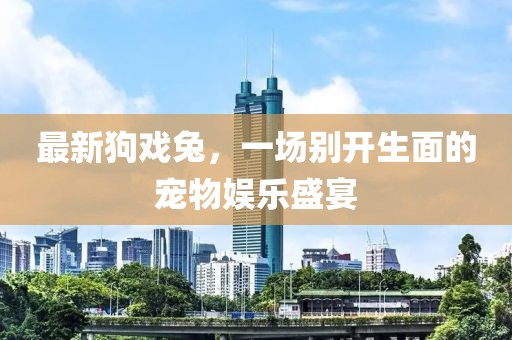 最新狗戲兔，一場(chǎng)別開生面的寵物娛樂(lè)盛宴