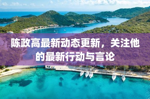 陳政高最新動(dòng)態(tài)更新，關(guān)注他的最新行動(dòng)與言論