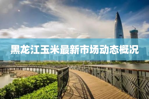 黑龍江玉米最新市場動態(tài)概況