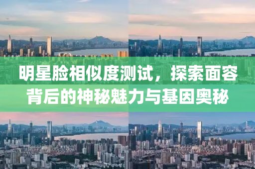 明星臉相似度測(cè)試，探索面容背后的神秘魅力與基因奧秘