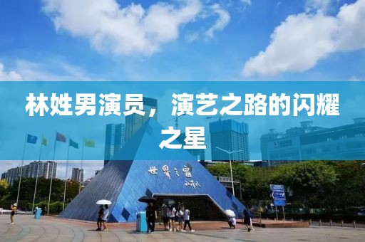 林姓男演員，演藝之路的閃耀之星