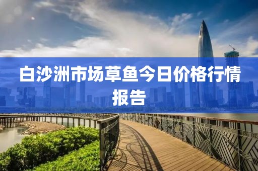 白沙洲市場(chǎng)草魚(yú)今日價(jià)格行情報(bào)告