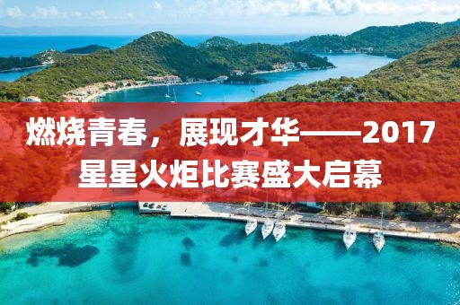 燃燒青春，展現(xiàn)才華——2017星星火炬比賽盛大啟幕