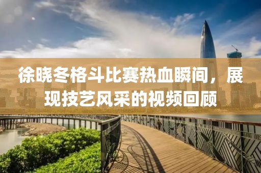 徐曉冬格斗比賽熱血瞬間，展現(xiàn)技藝風(fēng)采的視頻回顧