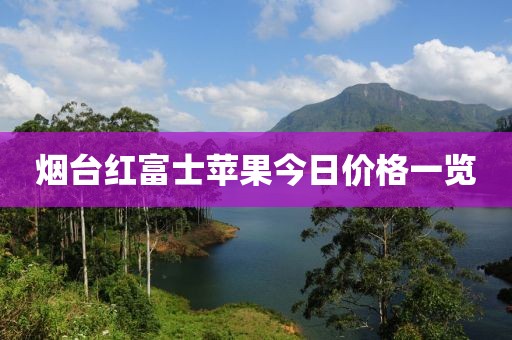 煙臺紅富士蘋果今日價格一覽
