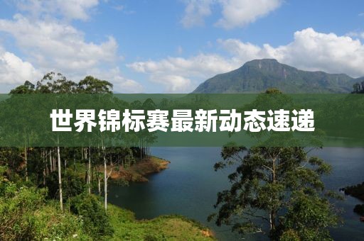 世界錦標賽最新動態(tài)速遞