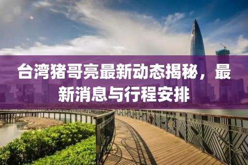臺灣豬哥亮最新動態(tài)揭秘，最新消息與行程安排