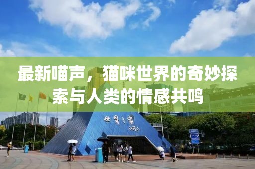 最新喵聲，貓咪世界的奇妙探索與人類的情感共鳴