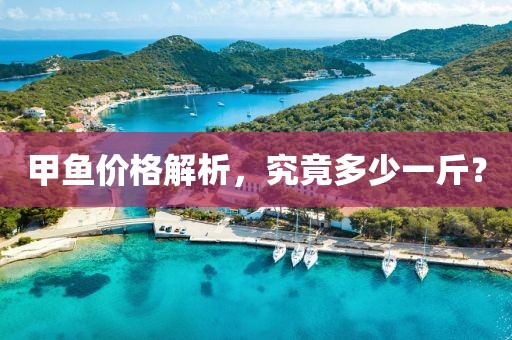 甲魚價格解析，究竟多少一斤？
