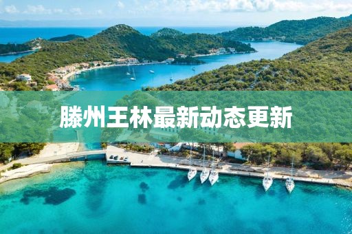 滕州王林最新動態(tài)更新