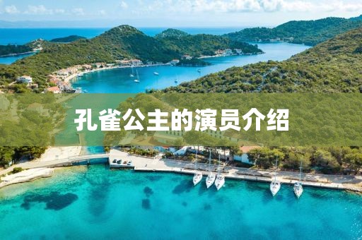 孔雀公主的演員介紹