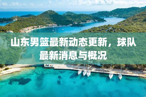 山東男籃最新動態(tài)更新，球隊最新消息與概況