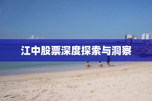 江中股票深度探索與洞察