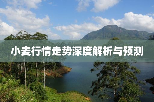 小麥行情走勢深度解析與預(yù)測