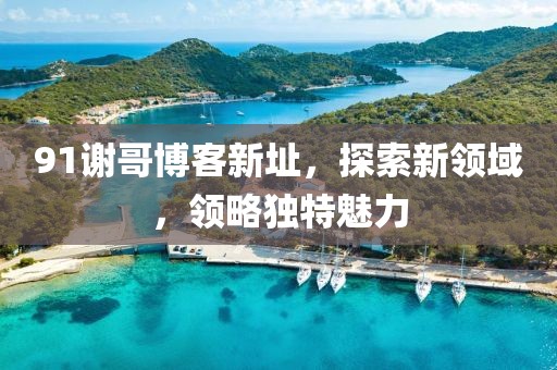 91謝哥博客新址，探索新領(lǐng)域，領(lǐng)略獨(dú)特魅力