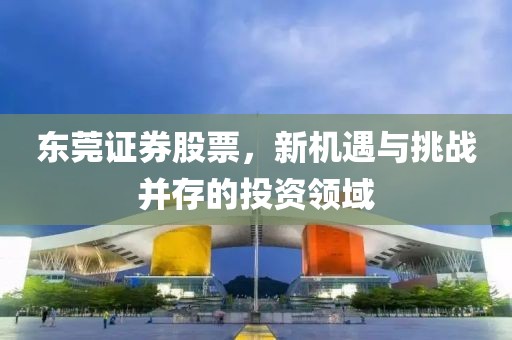 東莞證券股票，新機(jī)遇與挑戰(zhàn)并存的投資領(lǐng)域