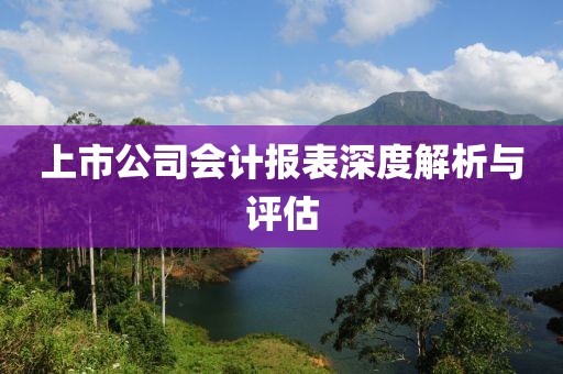 上市公司會計報表深度解析與評估
