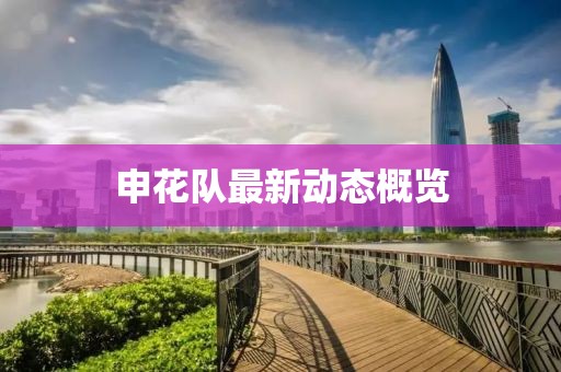 申花隊最新動態(tài)概覽