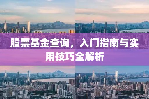 股票基金查詢，入門指南與實用技巧全解析