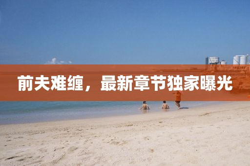 前夫難纏，最新章節(jié)獨家曝光