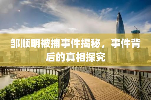 鄒順明被捕事件揭秘，事件背后的真相探究