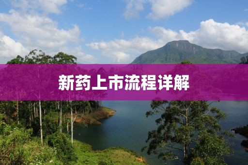 新藥上市流程詳解