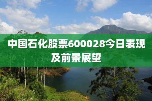 中國石化股票600028今日表現(xiàn)及前景展望