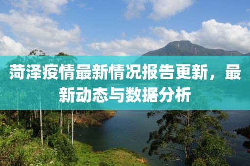 菏澤疫情最新情況報告更新，最新動態(tài)與數(shù)據(jù)分析