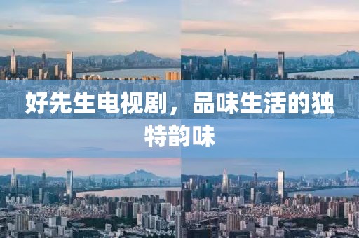 好先生電視劇，品味生活的獨(dú)特韻味