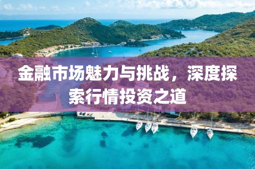 金融市場魅力與挑戰(zhàn)，深度探索行情投資之道