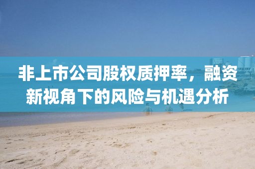非上市公司股權(quán)質(zhì)押率，融資新視角下的風(fēng)險(xiǎn)與機(jī)遇分析