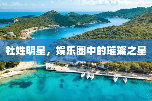 杜姓明星，娛樂圈中的璀璨之星